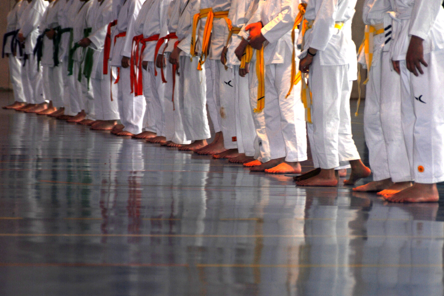 Enfants faisant du judo alignés dans le gymnase